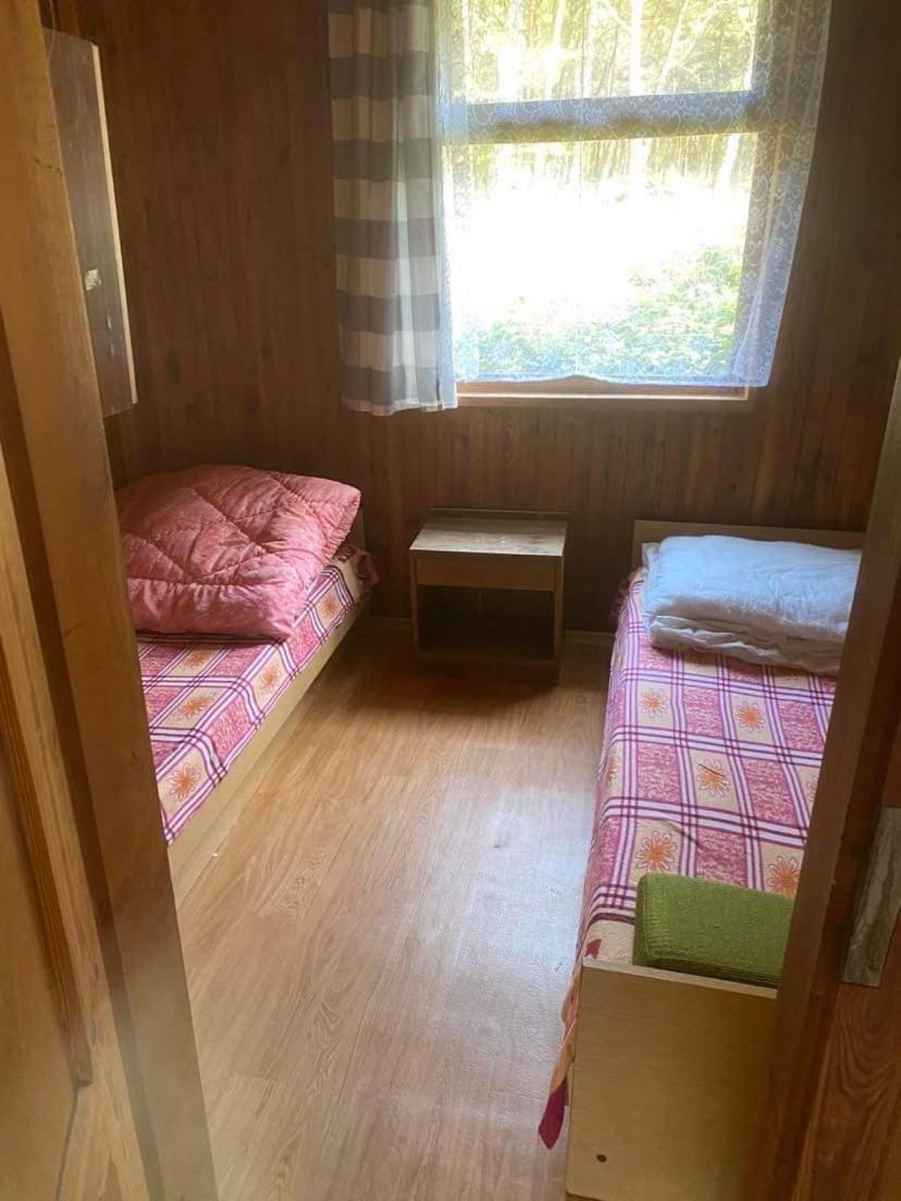 Domki Szumi Las Mrzeżyno Exterior foto