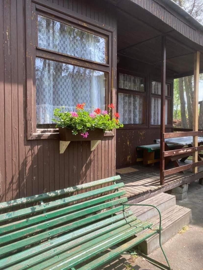 Domki Szumi Las Mrzeżyno Exterior foto