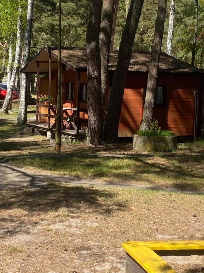 Domki Szumi Las Mrzeżyno Exterior foto