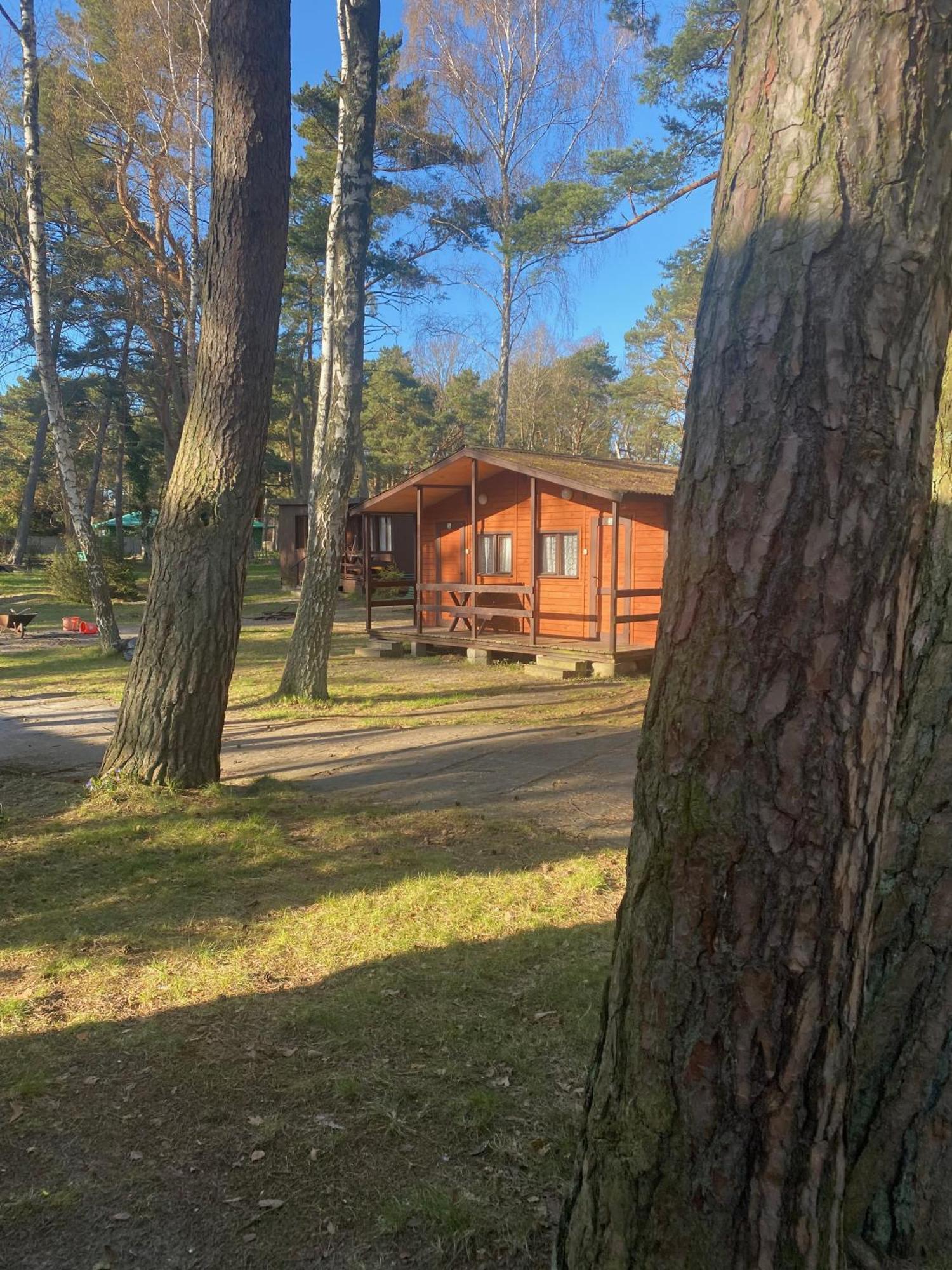 Domki Szumi Las Mrzeżyno Exterior foto